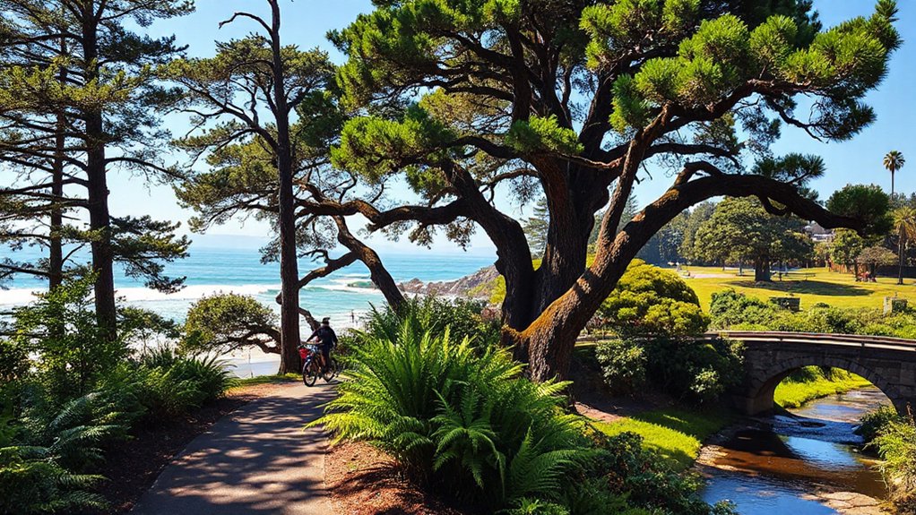 explore santa cruz parks